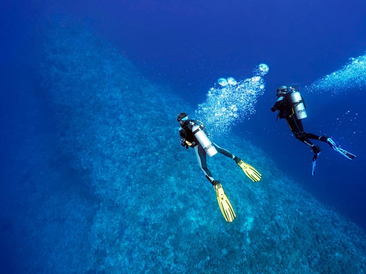 1.2268230-1009686848