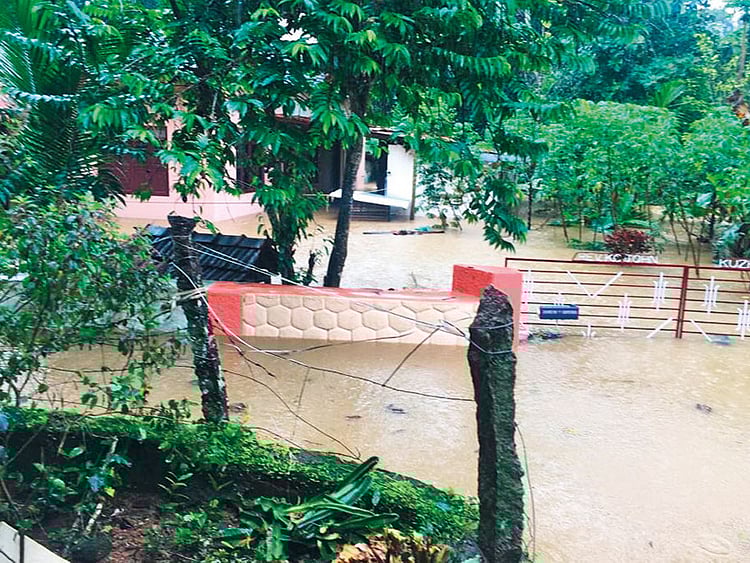 1.2268812-3150746915