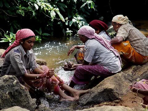 ‘Merku Thodarchi Malai’ wins big at festivals