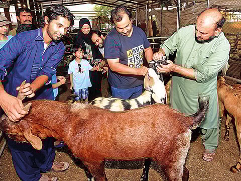 Atiq ur Rehman/Gulf News 