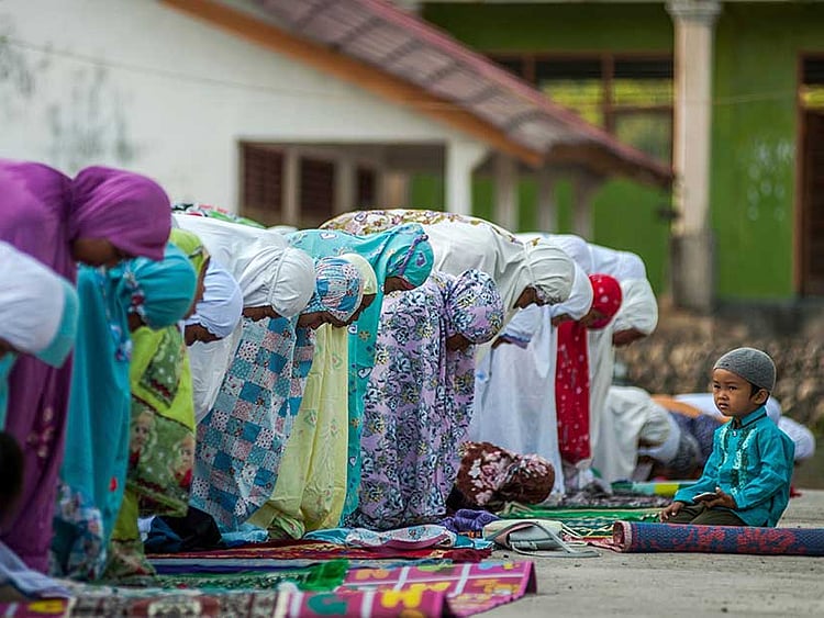 1.2270050-3672166599