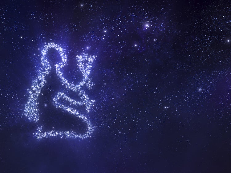 1.2279866-2581481719