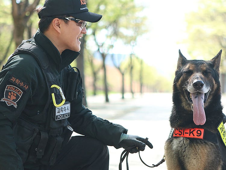 1.2272084-2166921741