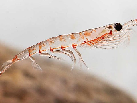 Getty Images/iStockphoto