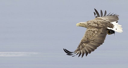 1.2272655-3460346030