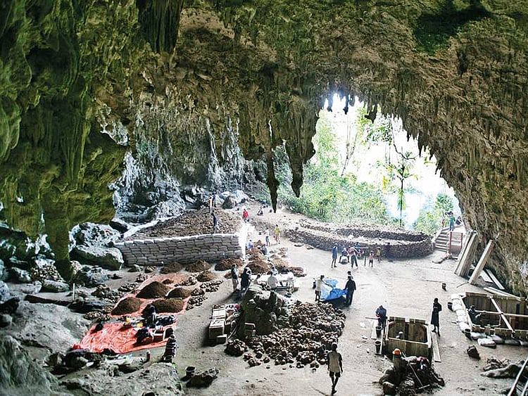 1.2261330-2471966236