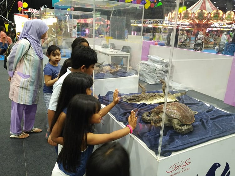 1.2261926-2047867078