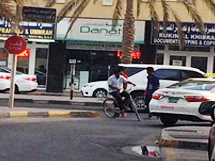 1.2262361-3295452024