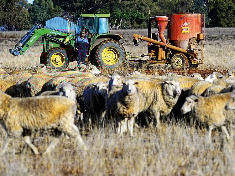 1.2263351-1678743624