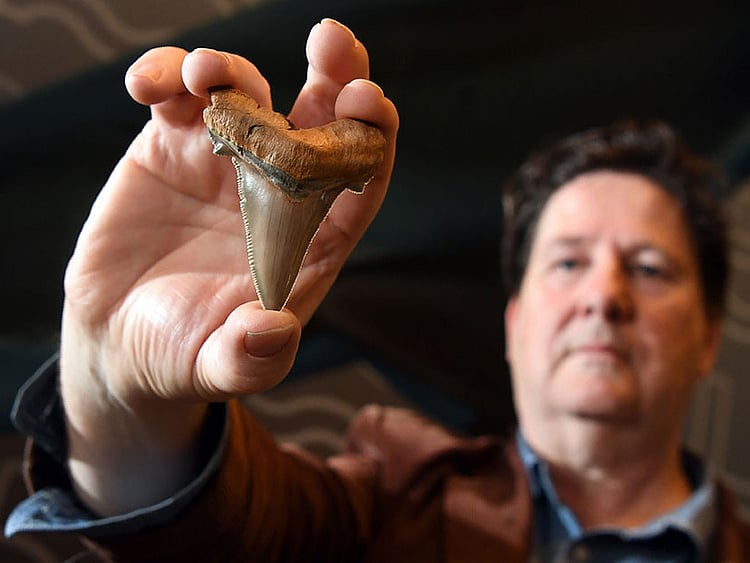 1.2263728-1352984193