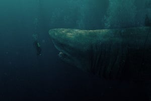 ‘The Meg’ film review: Jason Statham stays afloat in ridiculous shark attack feature