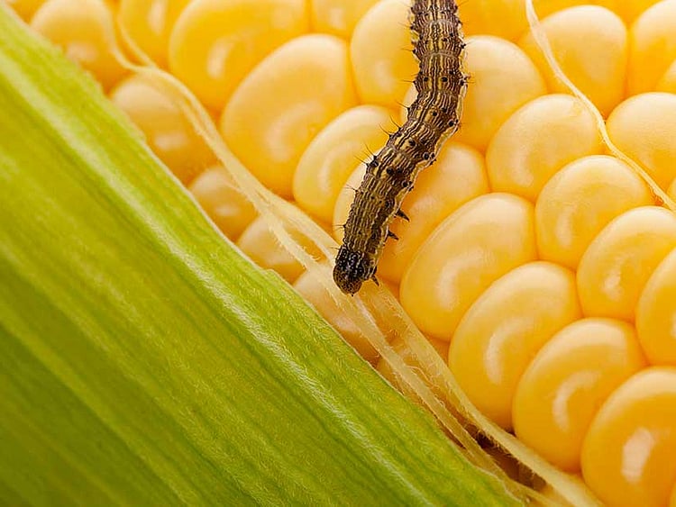 1.2273297-3834054413