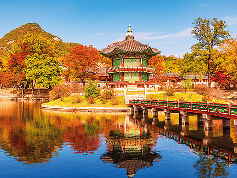 It is the season of autumn in many places around the world  