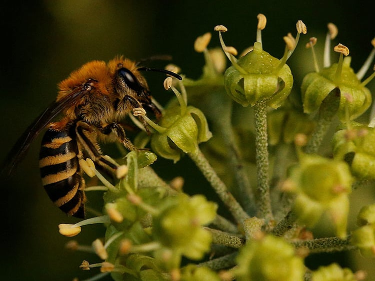 1.2278712-3660872909