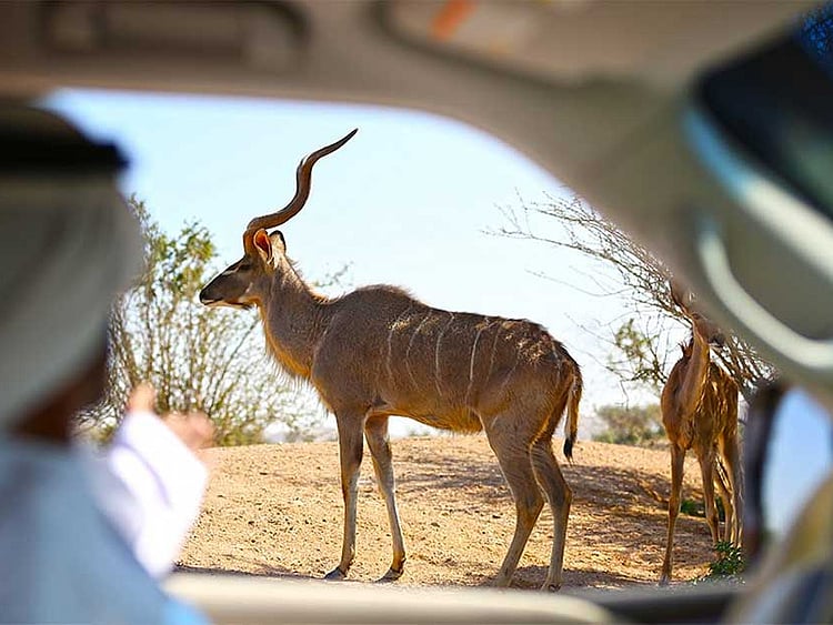 1.2279039-2316854950