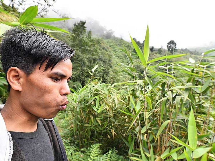 1.2279722-1760897797