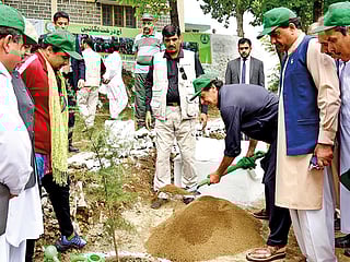 Pakistan launches mega tree-plantation campaign