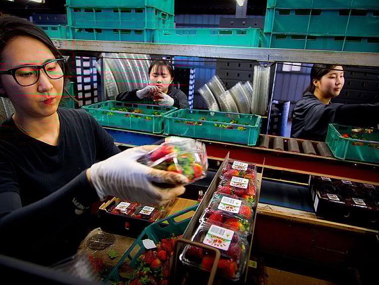 1.2281502-3193327205