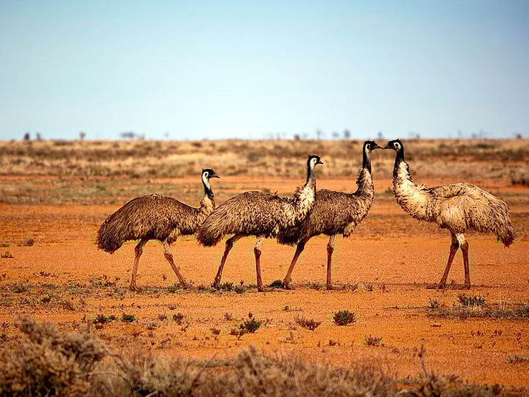 1.2280924-2560517244