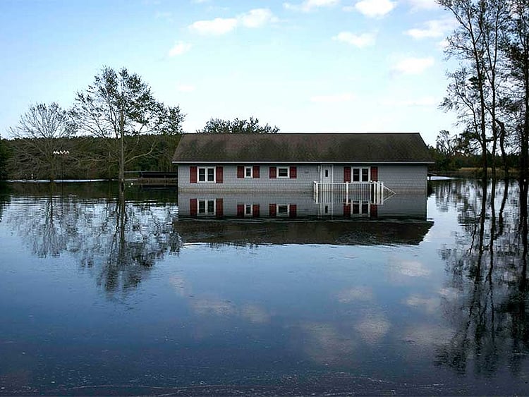 1.2281548-2069636377