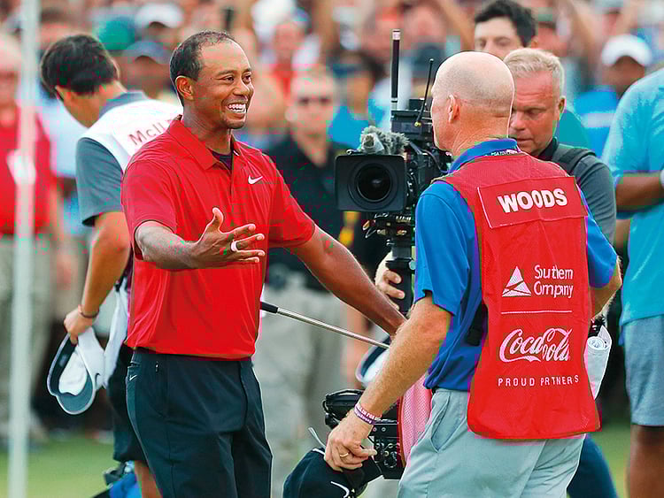 1.2282043-3902568764