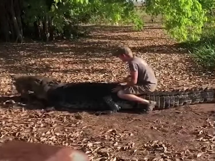 1.2282913-1057288655