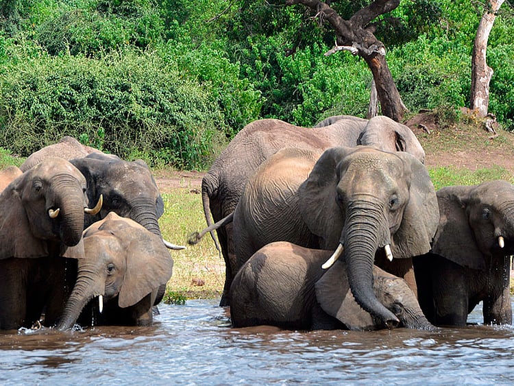 1.2274619-3214940901