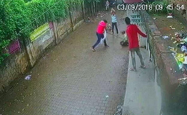 1.2274425-2239957602