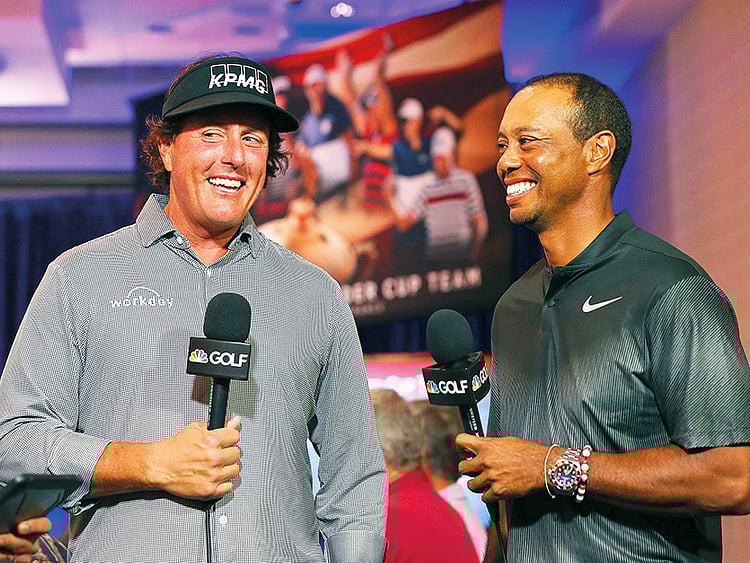 1.2274901-1579145434