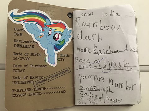 Soft toy gets stamp on its ‘passport’ from UAE immigration officers