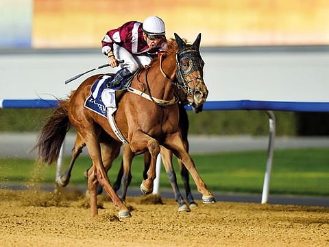 Fabrice Veron, seen on the opening day of the Dubai World Cup Carnival, breezed Hawa Bilady to victory in the feature event of the day at Jebel Ali Racecourse on Friday.