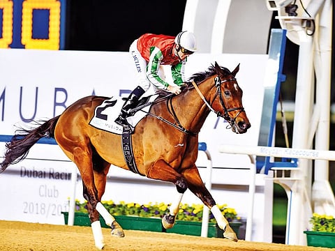 North America, ridden by Richard Mullen, wins the  Al Maktoum Challenge (Round 1) at Meydan on Thursday.