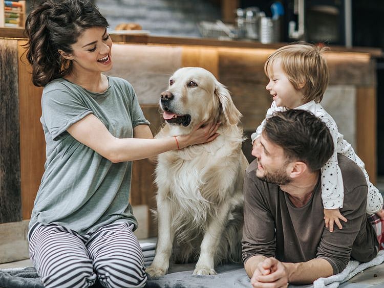 OPN_190118--family-with-a-pet_P2-1547814737634