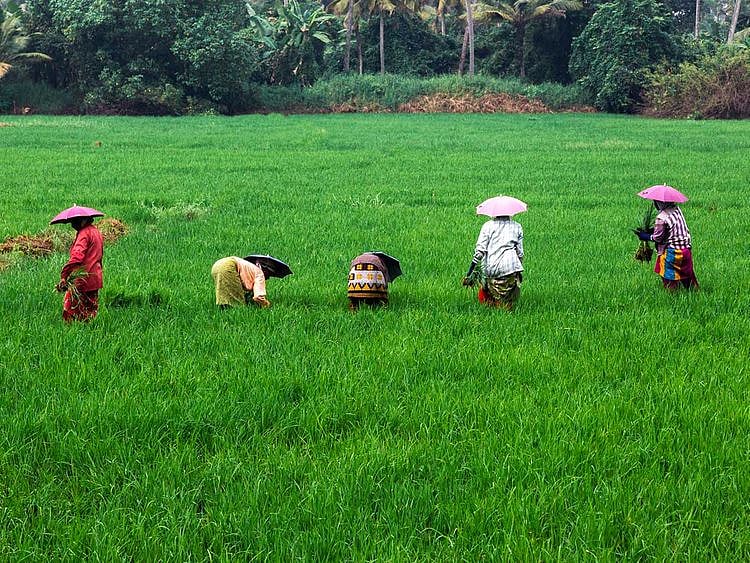 190126 farmers in kerala