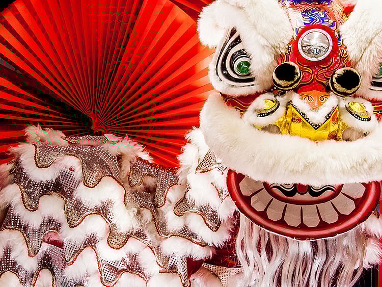 Chinese New Year Celebrations
