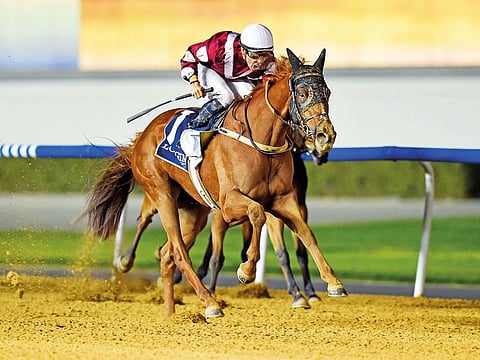 The American-bred daughter of Union Rags, Al Hayette has caught the eye of many with the way she has dominated her rivals recently.