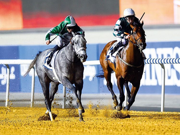 Drafted (left), ridden by Patrick Dobbs
