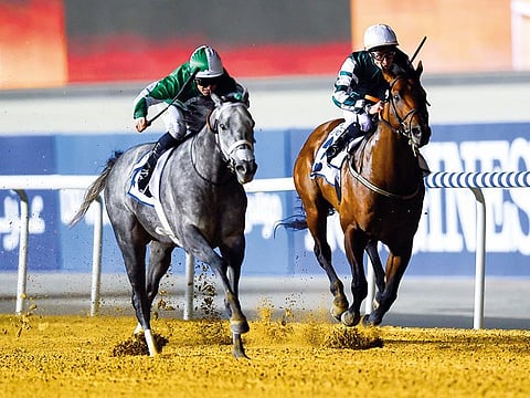 Drafted (left), ridden by Patrick Dobbs, en route to winning the Al Shindagha Sprint on week five of the Dubai World Cup Carnival at Meydan Racecourse on Thursday. The race is a major prep for the $2.5 million Gulf News Dubai Golden Shaheen on March 30.
