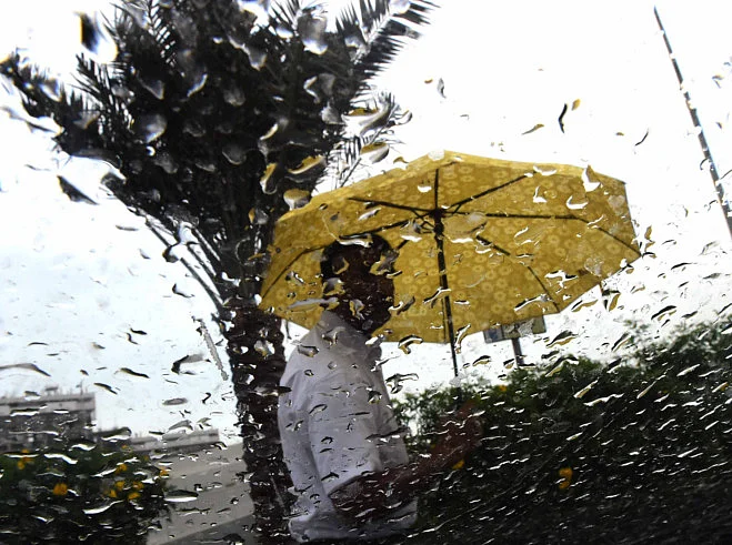 NAT-190203-Rain-1-1549201559622