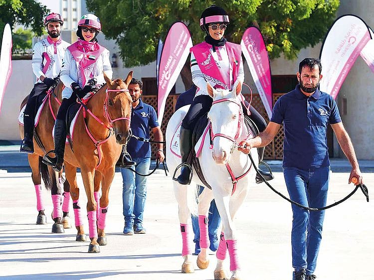 190206 pink caravan 2019