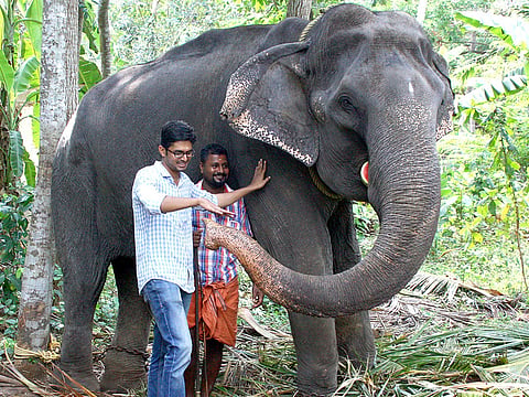 This photo taken on April 18, 2016 shows elderly Indian elephant Dakshayani, awarded the title 'Gaja Muthassi', or elephant granny, with her keeper and a visitor on the grounds of the Chengalloor Mahadeva temple in Thiruvananthapuram in India's southern Kerala state.