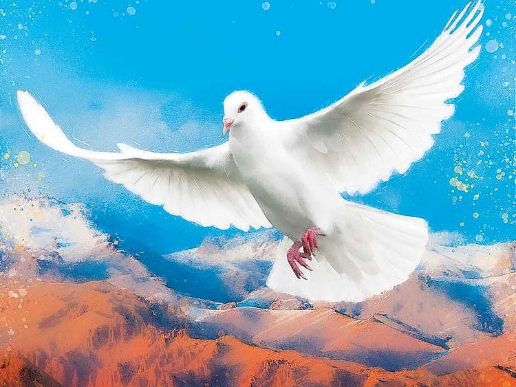 Peace in Afghanistan is within reach