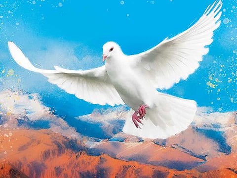 Hugo A. Sanchez/©Gulf News