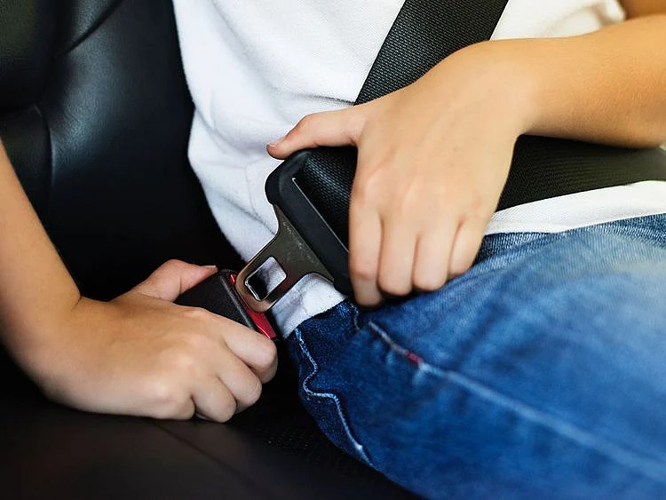 190209 seat belt generic