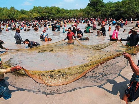 The annual event held in the Choam Korvean commune attracts hundreds of farmers from surrounding villages