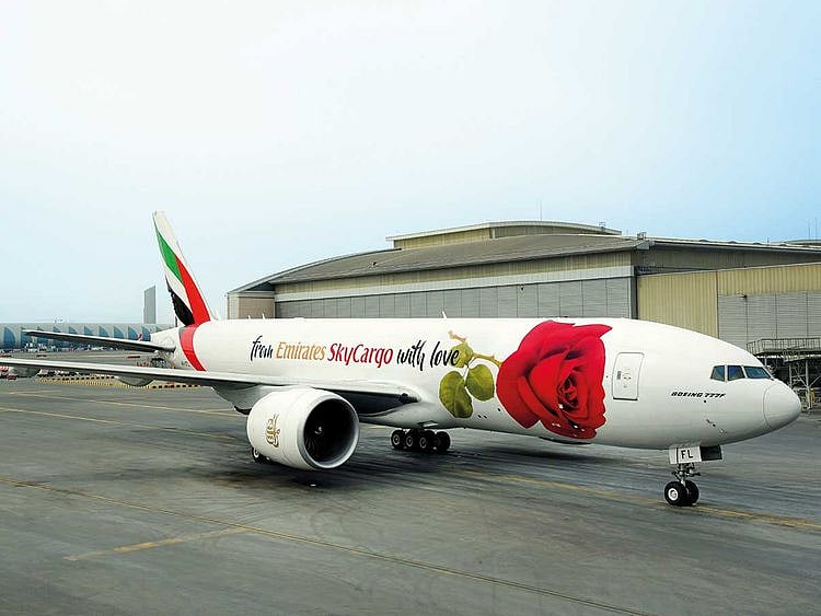 190211 emirates plane