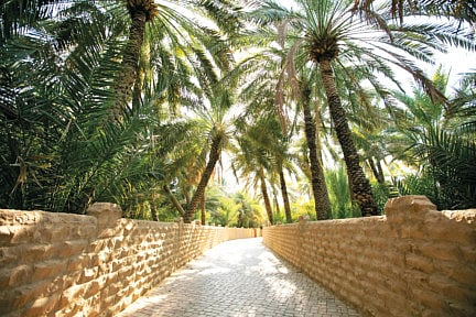 WWW-Al-Ain-1-1550210288332