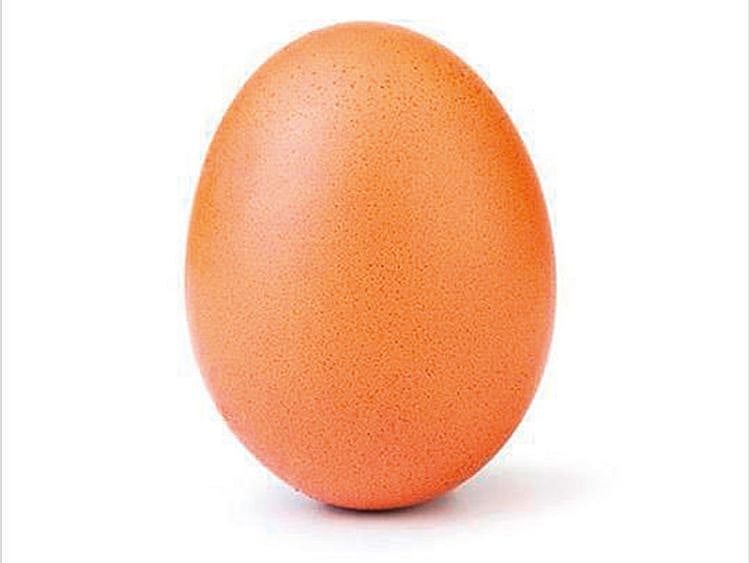 190216 instagram egg