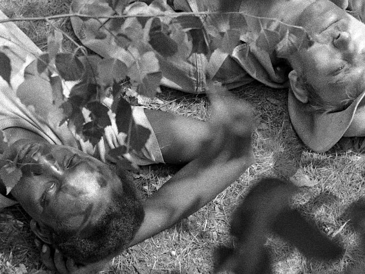 Ibrahim-Shaddad_Film-1550727178805