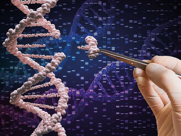 DNA gets a new and bigger genetic alphabet